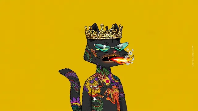 NFT koleksiyonları ve sanatçılar: CryptoPunks, Bored Apes & Co. – Liste