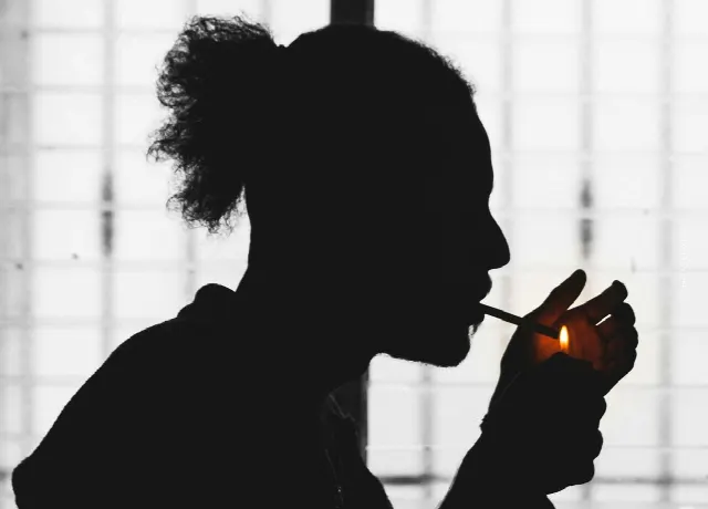 Tıbbi Kenevir Reçetesi: İpuçları, Deneyimler ve Öneriler