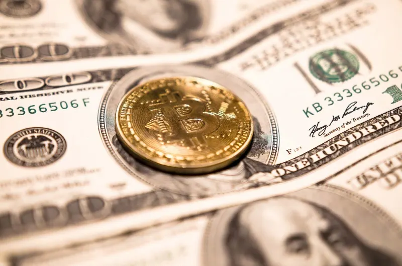 Kripto Para Geleceği: Bitcoin, Ethereum ve Coin Alternatifleri için Tarih + Tahmin