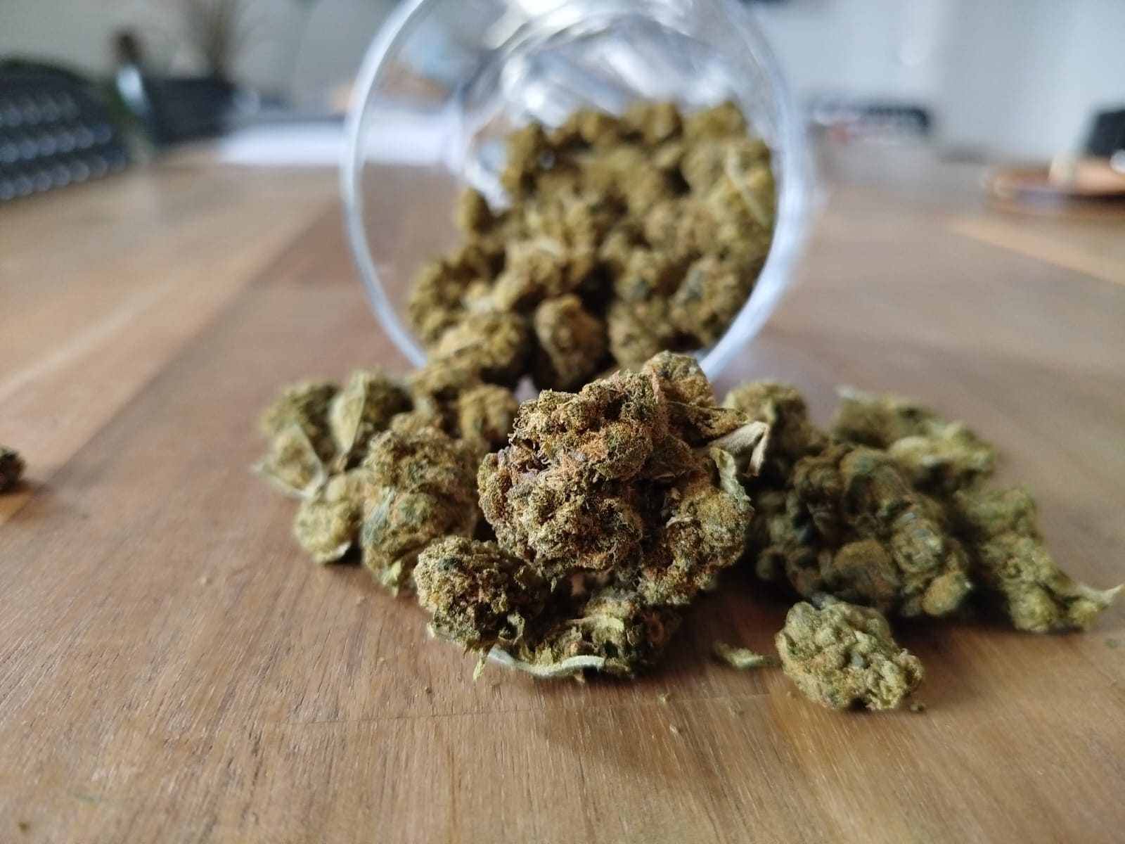 Kenevir'i online sipariş ettim! #GameChanger - CannaZen ile deneyimim Cannabis online bestellt! #GameChanger - Erfahrungen mit CannaZen
